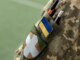 Заступника воєнкома Луцька затримали за підозрою в хабарництві Заступника-воєнкома-Луцька-затримали-за-підозрою-в-хабарництві