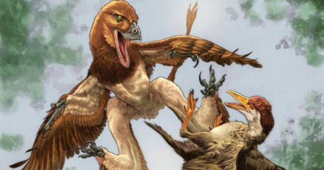 Мав чотири крила: вчені відкрили новий вид пернатого динозавра Мав-чотири-крила:-вчені-відкрили-новий-вид-пернатого-динозавра