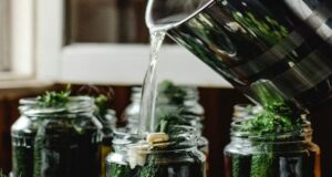 Цю сіль не можна використовувати для засолювання огірків, бо вони будуть м’якими й несмачними Цю сіль-не можна-використовувати-для-засолювання-огірків,-бо вони-будуть-м’якими-й несмачними