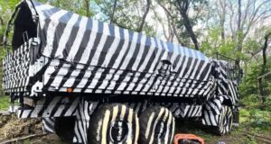 Російська військова техніка використовує нові методи маскування для уникнення атак дронів України Камуфляж-«зебри»:-як-Росія-намагається-заплутати-українські-дрони