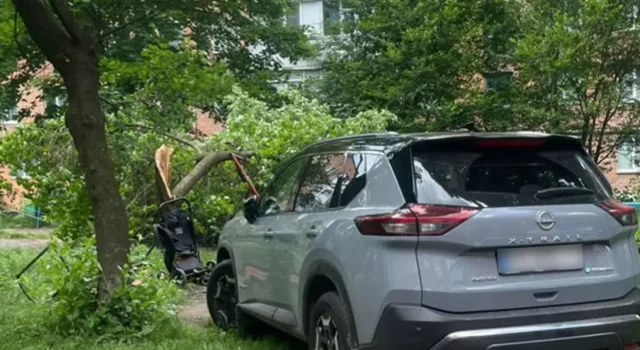 У Хмельницькому авто збило двох жінок і трирічну дитину: водійці раптово стало зле У Хмельницькому авто збило двох жінок і трирічну дитину: водійці раптово стало зле