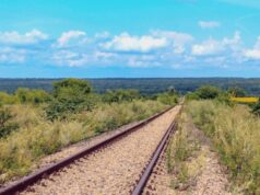 Засіяв ділянку біля колії: волинянин уник покарання за розорювання земель Укрзалізниці Засіяв-ділянку-біля-колії:-волинянин-уник-покарання-за-розорювання-земель-Укрзалізниці