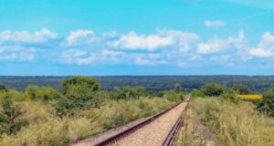 Засіяв ділянку біля колії: волинянин уник покарання за розорювання земель Укрзалізниці Засіяв-ділянку-біля-колії:-волинянин-уник-покарання-за-розорювання-земель-Укрзалізниці