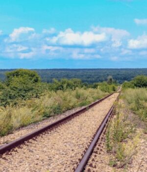 Засіяв-ділянку-біля-колії:-волинянин-уник-покарання-за-розорювання-земель-Укрзалізниці