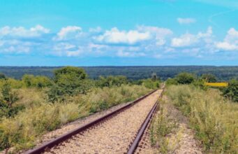 Засіяв ділянку біля колії: волинянин уник покарання за розорювання земель Укрзалізниці Засіяв-ділянку-біля-колії:-волинянин-уник-покарання-за-розорювання-земель-Укрзалізниці