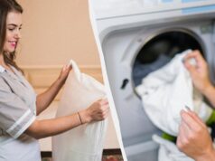 40 хвилин – і подушки знову стануть свіжими: як їх прати, щоб не пошкодити наповнювач 40-хвилин-–-і-подушки-знову-стануть-свіжими:-як-їх-прати,-щоб-не-пошкодити-наповнювач