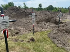 У Гуті Пеняцькій виявили людські останки під час пошукових робіт У Гуті Пеняцькій виявили людські останки під час пошукових робіт