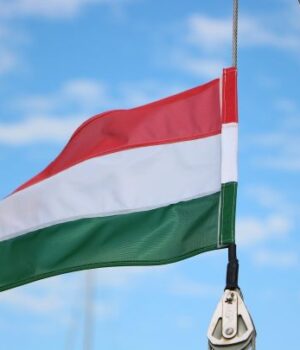 МЗС-України-зірвало-виступ-російського-скрипаля-в Угорщині
