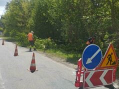 Посадовця дорожньої компанії на Волині покарали за зрубані дерева Посадовця-дорожньої-компанії-на-Волині-покарали-за-зрубані-дерева