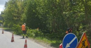 Посадовця дорожньої компанії на Волині покарали за зрубані дерева Посадовця-дорожньої-компанії-на-Волині-покарали-за-зрубані-дерева