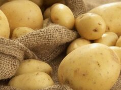 Чим почистити молоду картоплю, коли немає ножа: 5 простих способів Чим-почистити-молоду-картоплю,-коли-немає-ножа:-5 простих-способів