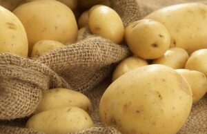 Чим почистити молоду картоплю, коли немає ножа: 5 простих способів Чим-почистити-молоду-картоплю,-коли-немає-ножа:-5 простих-способів