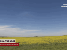 В Україні виявили родовища дорогого металу: який регіон має “золоту жилу” В-Україні-виявили-родовища-дорогого-металу:-який-регіон-має-“золоту-жилу”