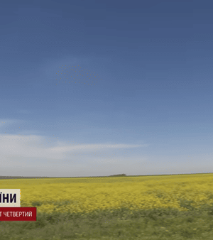 В-Україні-виявили-родовища-дорогого-металу:-який-регіон-має-“золоту-жилу” В-Україні-виявили-родовища-дорогого-металу:-який-регіон-має-“золоту-жилу”