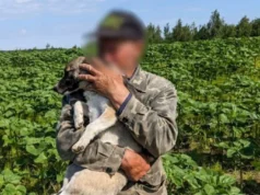 Відео: На Рівненщині рятувальники дістали собаку з 15-метрового колодязя Відео: На Рівненщині рятувальники дістали собаку з 15-метрового колодязя