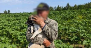Відео: На Рівненщині рятувальники дістали собаку з 15-метрового колодязя Відео: На Рівненщині рятувальники дістали собаку з 15-метрового колодязя