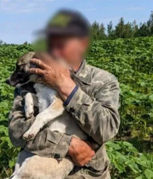 photo_2026_06_17_19_12_22.webp Відео: На Рівненщині рятувальники дістали собаку з 15-метрового колодязя