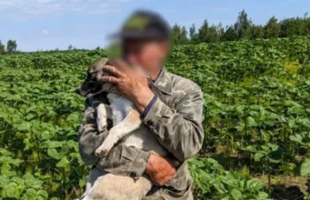 Відео: На Рівненщині рятувальники дістали собаку з 15-метрового колодязя Відео: На Рівненщині рятувальники дістали собаку з 15-метрового колодязя