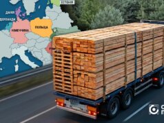 Куди і скільки експортували деревини з Волині у 2024-2025 роках Куди-і-скільки-експортували-деревини-з-Волині-у-2024-2025-роках