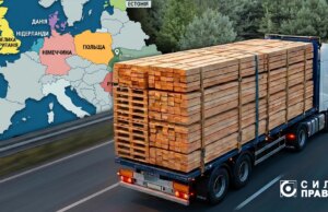 Куди і скільки експортували деревини з Волині у 2024-2025 роках Куди-і-скільки-експортували-деревини-з-Волині-у-2024-2025-роках
