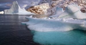 На дні Арктики з’явилися нові екосистеми: вчені з’ясували причину На-дні-Арктики-з’явилися-нові-екосистеми:-вчені-з’ясували-причину