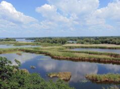 Великий Луг вже не відновиться: вчений розкрив майбутнє Каховського водосховища Великий-Луг-вже-не-відновиться:-вчений-розкрив-майбутнє-Каховського-водосховища