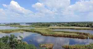 Великий Луг вже не відновиться: вчений розкрив майбутнє Каховського водосховища Великий-Луг-вже-не-відновиться:-вчений-розкрив-майбутнє-Каховського-водосховища