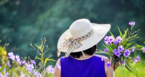 У середині тижня в Україні буде спека до +30° і навіть вище У-середині-тижня-в-Україні-буде-спека-до-+30°-і-навіть-вище