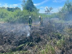 Загорівся очерет: рятувальники загасили берег Світязю Загорівся-очерет:-рятувальники-загасили-берег-Світязю