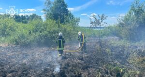 Загорівся очерет: рятувальники загасили берег Світязю Загорівся-очерет:-рятувальники-загасили-берег-Світязю