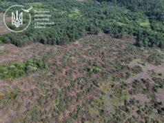 У Ковельському районі виявили незаконну вирубку близько п’яти тисяч дерев У-Ковельському-районі-виявили-незаконну-вирубку-близько-п’яти-тисяч-дерев