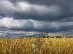 Негода наближається до Харкова: синоптики оголосили І рівень небезпечності Негода-наближається-до-Харкова:-синоптики-оголосили-І-рівень-небезпечності