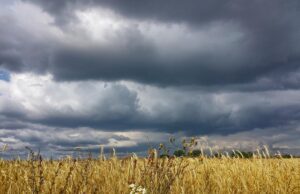 Негода наближається до Харкова: синоптики оголосили І рівень небезпечності Негода-наближається-до-Харкова:-синоптики-оголосили-І-рівень-небезпечності