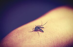 Не залишайте на ніч: експерт пояснив, чому пристрій для відлякування комарів має працювати лише кілька... Не-залишайте-на-ніч:-експерт-пояснив,-чому-пристрій-для-відлякування-комарів-має-працювати-лише-кілька.