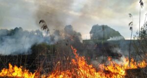 Високий рівень пожежної небезпеки у Володимирському районі: статистика та рекомендації ДСНС-застерігає:-ризик-пожеж-в-екосистемах-залишається-високим