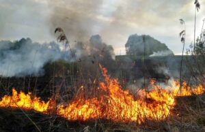 Високий рівень пожежної небезпеки у Володимирському районі: статистика та рекомендації ДСНС-застерігає:-ризик-пожеж-в-екосистемах-залишається-високим