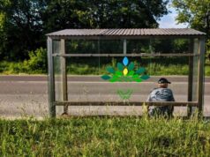 У місті на Волині зросла вартість проїзду у маршрутках У-місті-на-Волині-зросла-вартість-проїзду-у-маршрутках