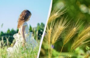 Що відзначаємо 2 липня: професійні свята та жіночий обряд для оздоровлення Що-відзначаємо-2-липня:-професійні-свята-та-жіночий-обряд-для-оздоровлення
