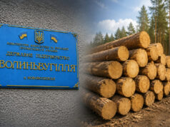 «Волиньвугілля» закупило у харківської фірми деревину на понад 31 мільйон гривень «Волиньвугілля»-закупило-у-харківської-фірми-деревину-на-понад-31-мільйон-гривень