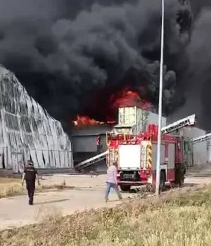 Ворог-ударив-КАБами-по-найбільшій-в-Європі-птахофабриці-"Чорнобаївська",-спалахнула-масштабна-пожежа