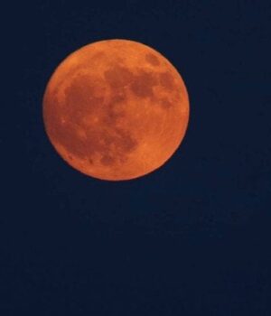 На-небі-з’явиться-гігантський-Оленячий-Місяць:-астрономи-назвали-точну-дату