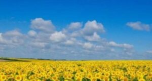 4 липня на Волині: гортаючи календар 4-липня-на-Волині:-гортаючи-календар