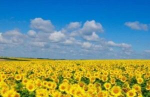 4 липня на Волині: гортаючи календар 4-липня-на-Волині:-гортаючи-календар