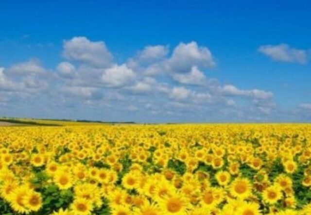 4 липня на Волині: гортаючи календар 4-липня-на-Волині:-гортаючи-календар