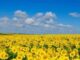 4 липня на Волині: гортаючи календар 4-липня-на-Волині:-гортаючи-календар