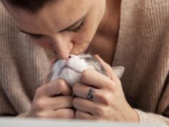 Ваша кішка муркоче не лише від щастя: ось що з’ясували вчені Ваша-кішка-муркоче-не-лише-від-щастя:-ось-що-з’ясували-вчені