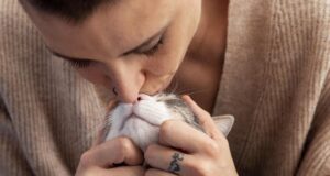 Ваша кішка муркоче не лише від щастя: ось що з’ясували вчені Ваша-кішка-муркоче-не-лише-від-щастя:-ось-що-з’ясували-вчені
