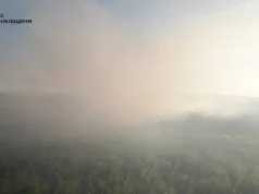 На Прикарпатті триває ліквідація лісової пожежі: вогонь охопив 1700 кв. м На Прикарпатті триває ліквідація лісової пожежі: вогонь охопив 1700 кв. м