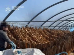 На Тернопільщині викрили підпільну тютюнову фабрику На Тернопільщині викрили підпільну тютюнову фабрику