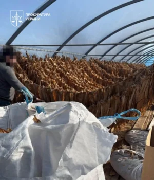 На Тернопільщині викрили підпільну тютюнову фабрику